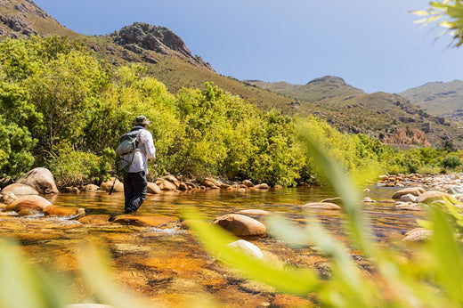 CAPE STREAMS