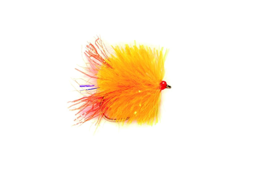 FAB SUNBURST FIRETAIL BLOB