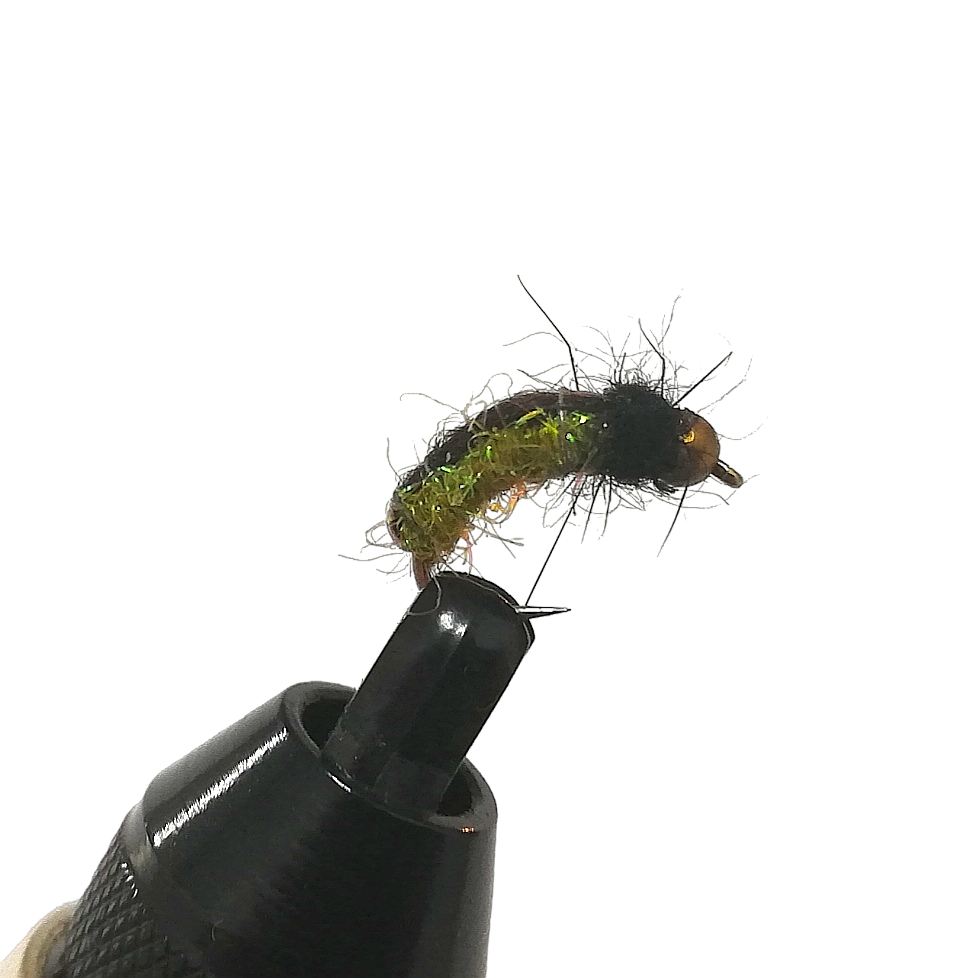 DREAM CADDIS