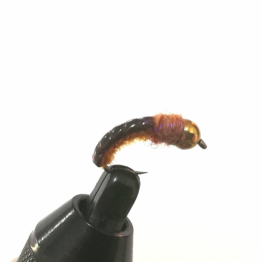 MUSTARD CADDIS