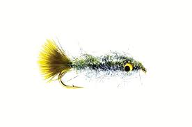 MINNOW RAINBOW LITE BRIGHT